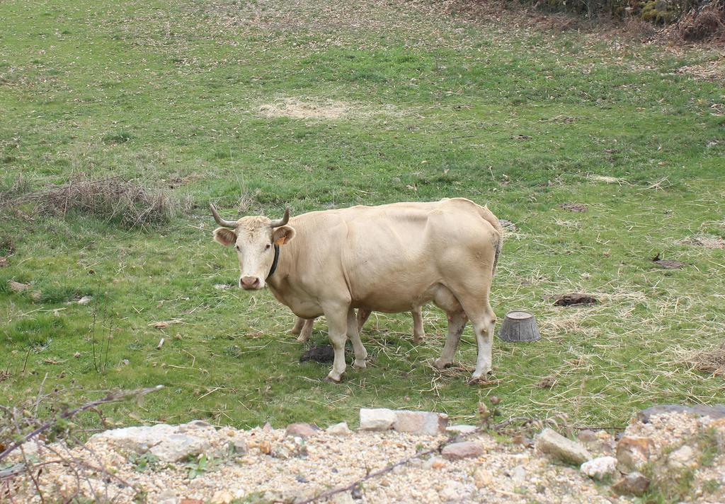 Casa Rural La Calzada El Payo Eksteriør billede